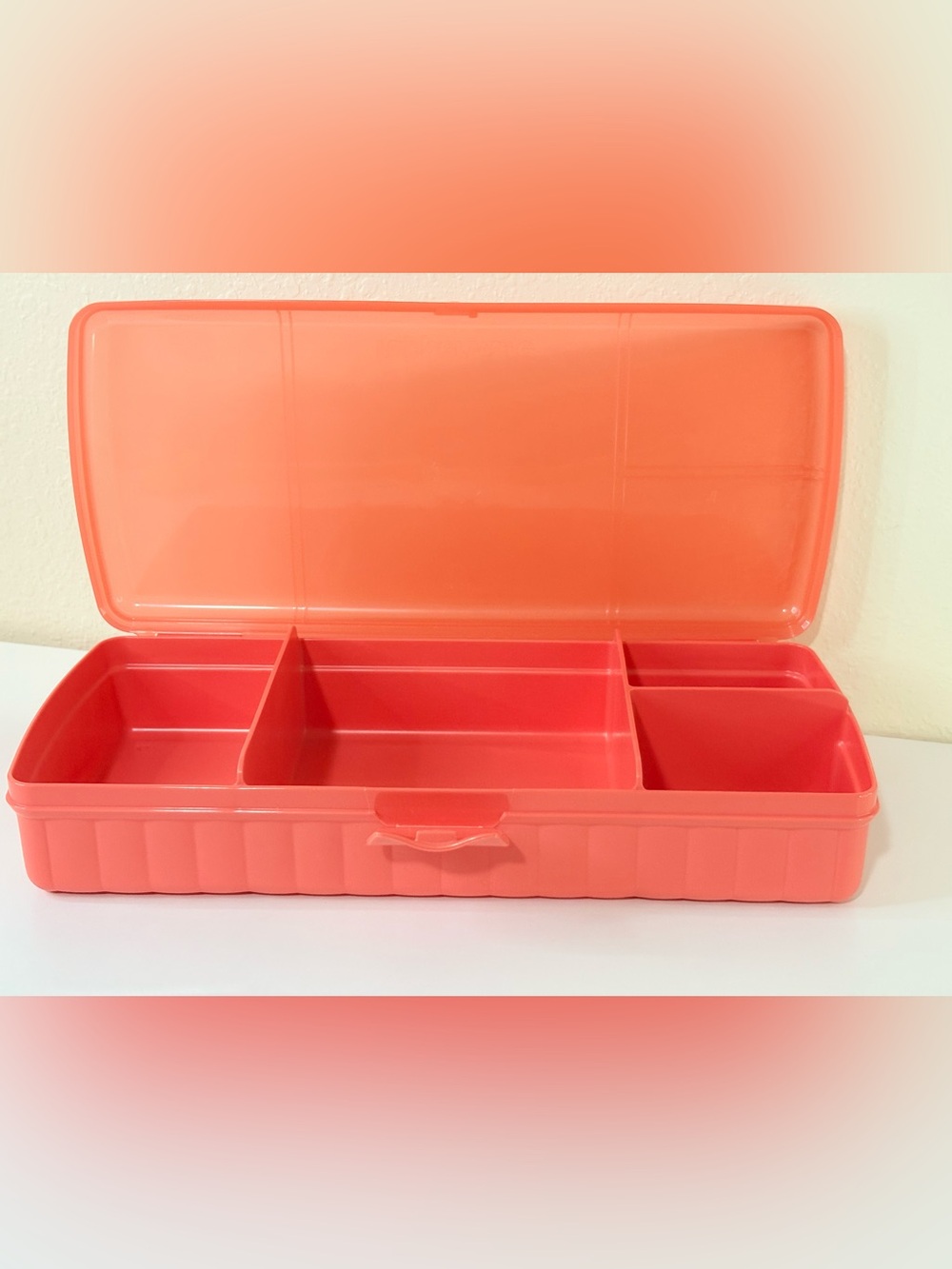 Tupperware LUNCH N THINGS
Divided Organizer Snack Sandwich
BENTO BOX orange cooo